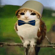 Cat On Crack