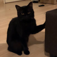 Kaix