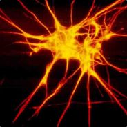 Steam profile picture for @synaptic