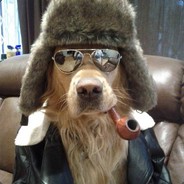 dog