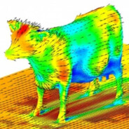aerodynamics_cow avatar
