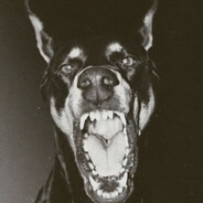 BingoBangoBongo avatar