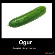 _ogur_ CSGOSKINS