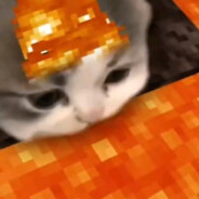 DontCry