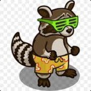 Partyraccoon ヅ