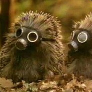 Igel