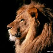 FreederikPro
