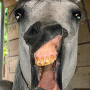 HorseLuii