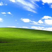 windows XP