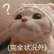 楼楼子
