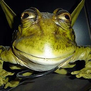 cancerous toad