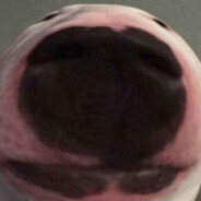 SumDude