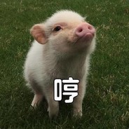 巨龙崛起