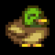 Ducks