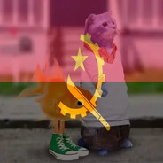 Zxlla4L