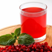 Terek11