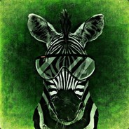 Zebr3