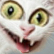 Elke
