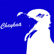 MrChaykaa
