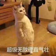 求求你别秀了
