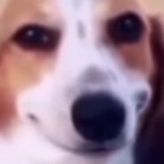 Ben Bug