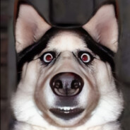 DaveFullPL