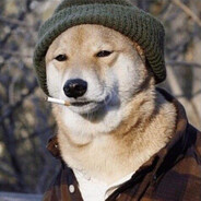 Old dog