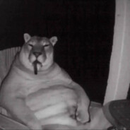 zoo (deputy)