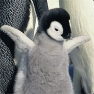 SmushyPenguin