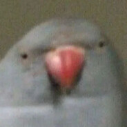 RVRR1