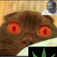 ProstoENDI