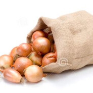 burlapsackofonions