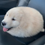 ็