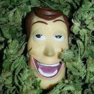 Mr.WOOD