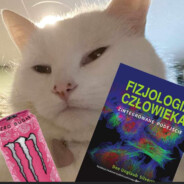 mejkerooos