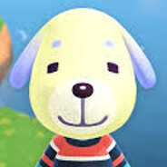 Daisy the Yellow Dog