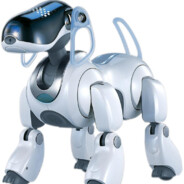 BOT wouf