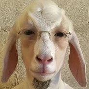 Shlabdriba