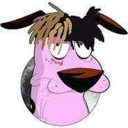 snioer