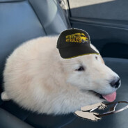 I Drive