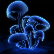 sTxSmoKeD