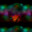 Group Avatar