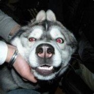 tangbo