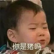 拥抱星星