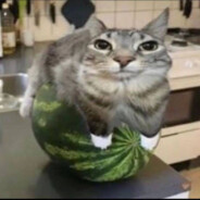 балбес на движухе