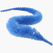 Worm