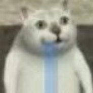 屑bro