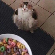 Hamsterguy