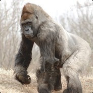 Gorillaman902