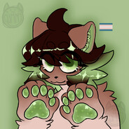 Kiwi Kid
